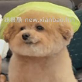 【删】普陀山御守0.6r - 线报酷