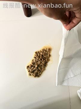 15磅金素237块-12月31日更新：小猫吃了呕吐 - 线报酷