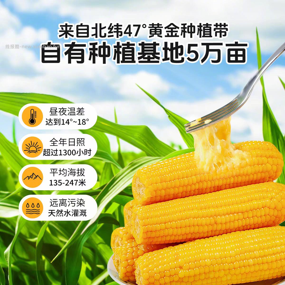 刘老杆东北黄糯玉米1760g/8根 17元 - 线报酷