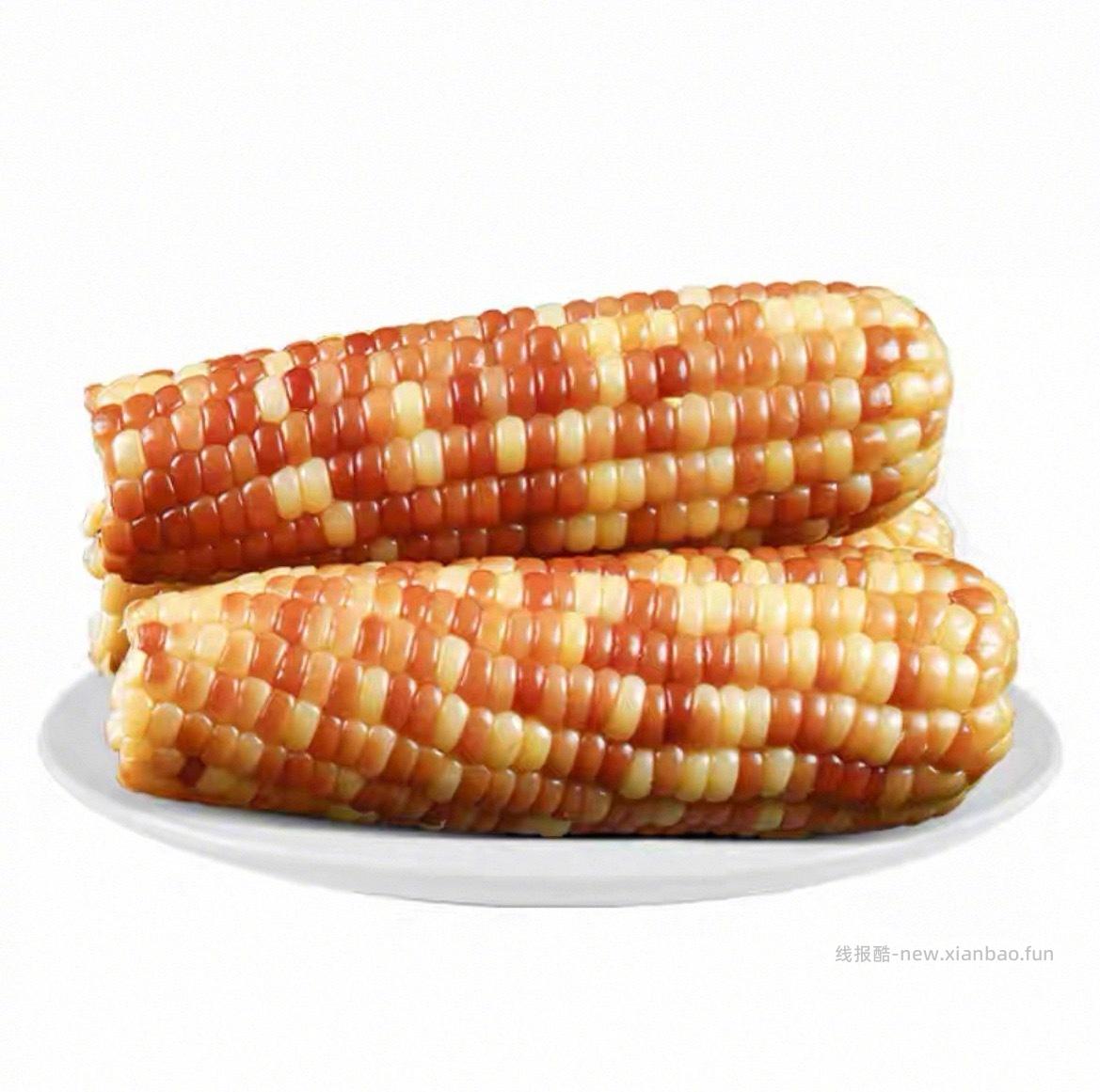 岁浓花糯玉米*8支 15元 - 线报酷