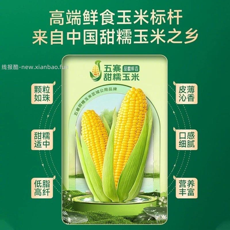 田园知己五寨糯玉米段1.6kg/8段 17元 - 线报酷