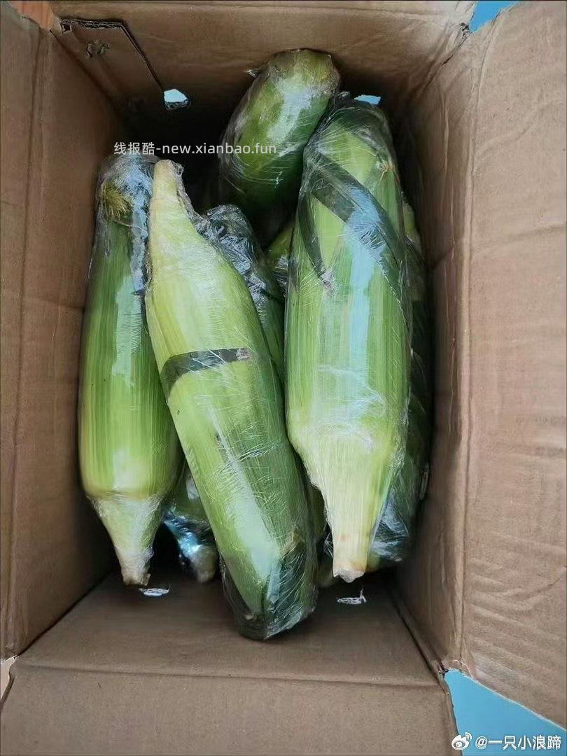 水果玉米🌽 5斤 9.4元，水果玉米🌽 9斤 10.6元，水果玉米🌽 9斤精选 15.1元 - 线报酷
