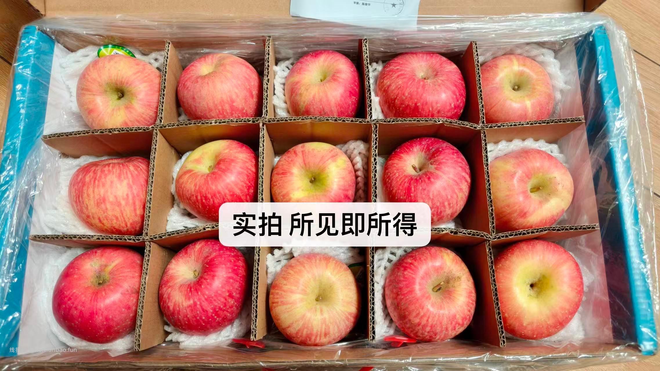 京东 洛川精品红富士15枚礼盒 34.9元 - 线报酷