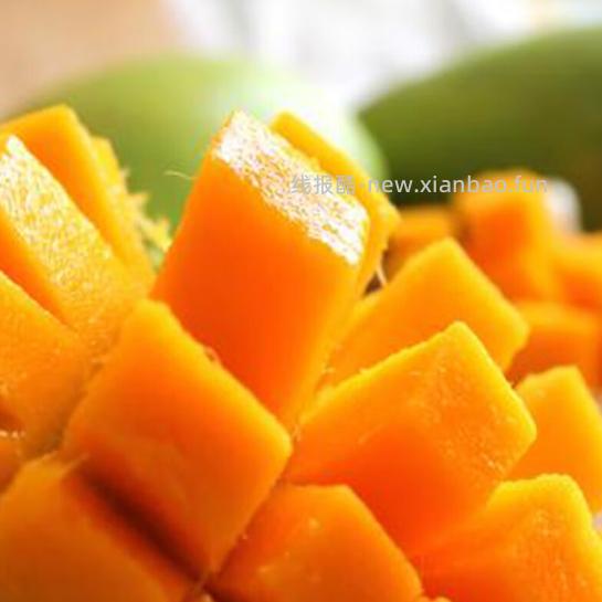 玖原农珍海南金煌芒果净4.5斤 12.9元 - 线报酷