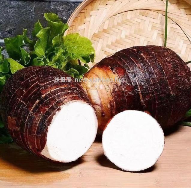 10.79 云南东川大香芋头3斤 大概2-3个 包邮的 - 线报酷