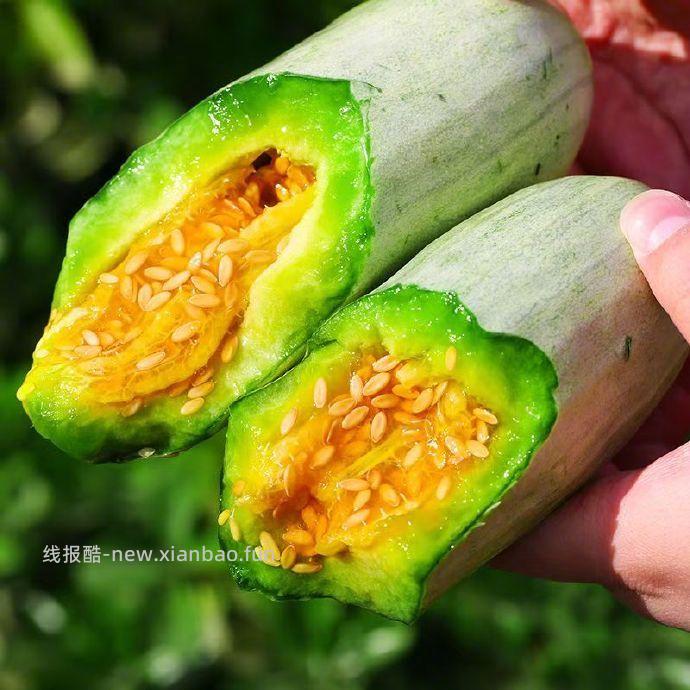 16.9 山东头茬羊角蜜甜瓜净重3斤 单根300g起 包邮的 - 线报酷