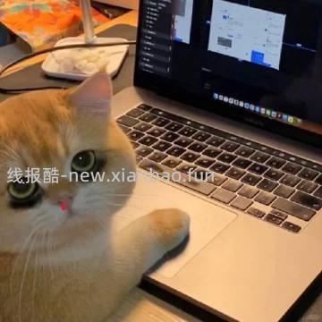 去睡觉啦 晚安 - 线报酷