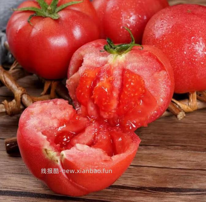 京东指数沙瓤番茄5斤 8.9元 - 线报酷