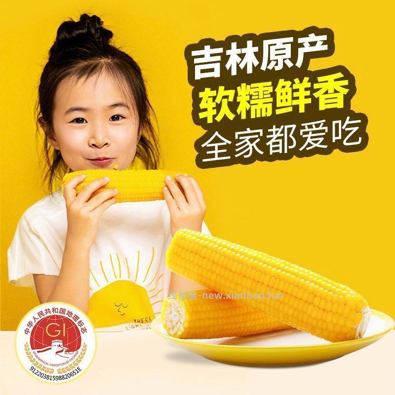 黄糯玉米1.2kg/6根 16.8元 - 线报酷