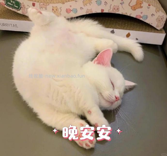 今晚到这里吧,小伙伴晚安 - 线报酷