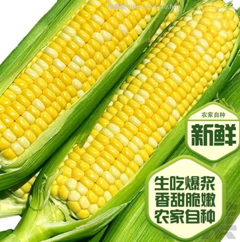 京鲜生云南水果甜玉米净重5斤 14.9元 - 线报酷
