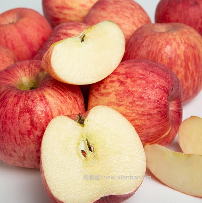 洛川苹果 陕西延安红富士苹果15枚 34.9元 - 线报酷