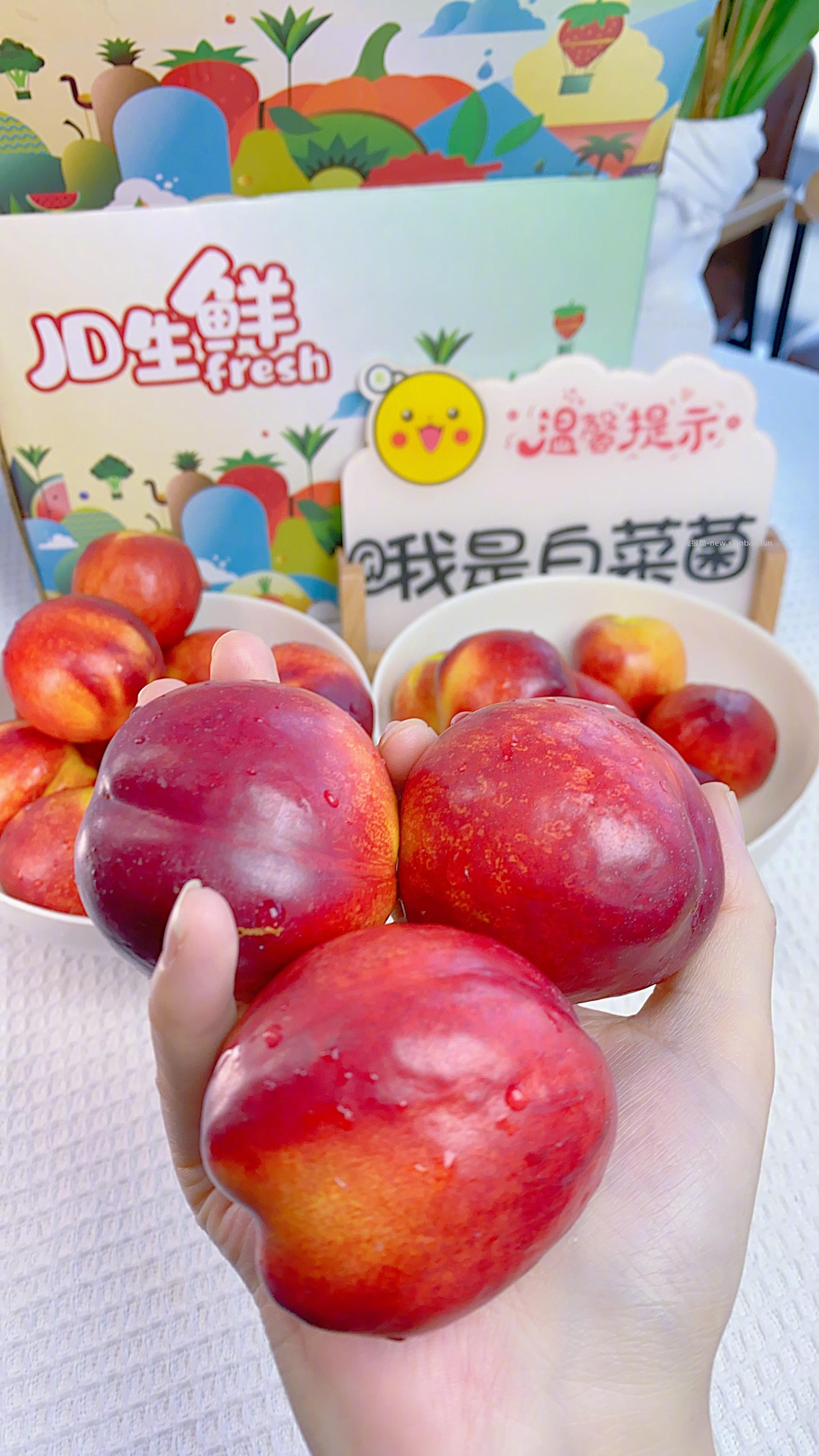 头茬桃树光照好 水份充足 低热量高纤维的选手 果香浓郁 一口软糯多汁 先炫一波了 - 线报酷