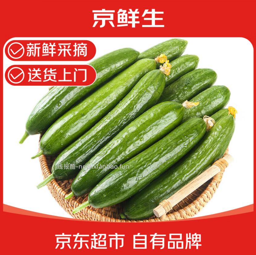 京鲜生山东荷兰水果黄瓜净重3斤 8.9元 - 线报酷