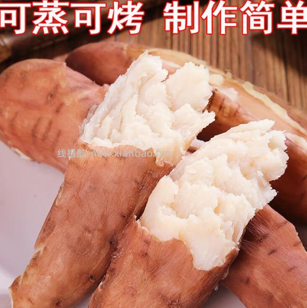 京鲜生河南哈密冰糖薯净重4.5斤 16.8元 - 线报酷