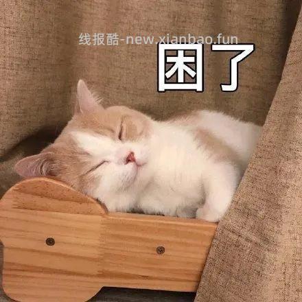 今晚到这里 晚安吧 - 线报酷
