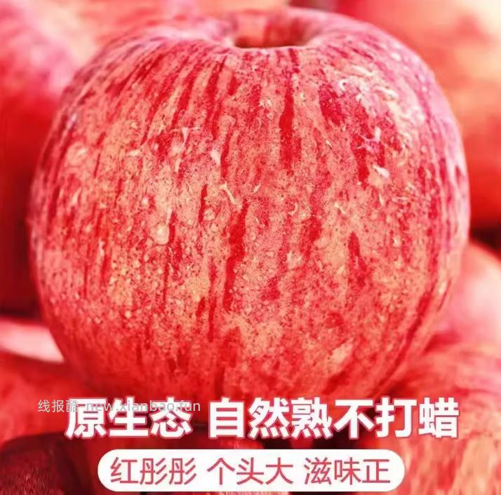 洛川红富士苹果带箱5斤 17.9元 - 线报酷