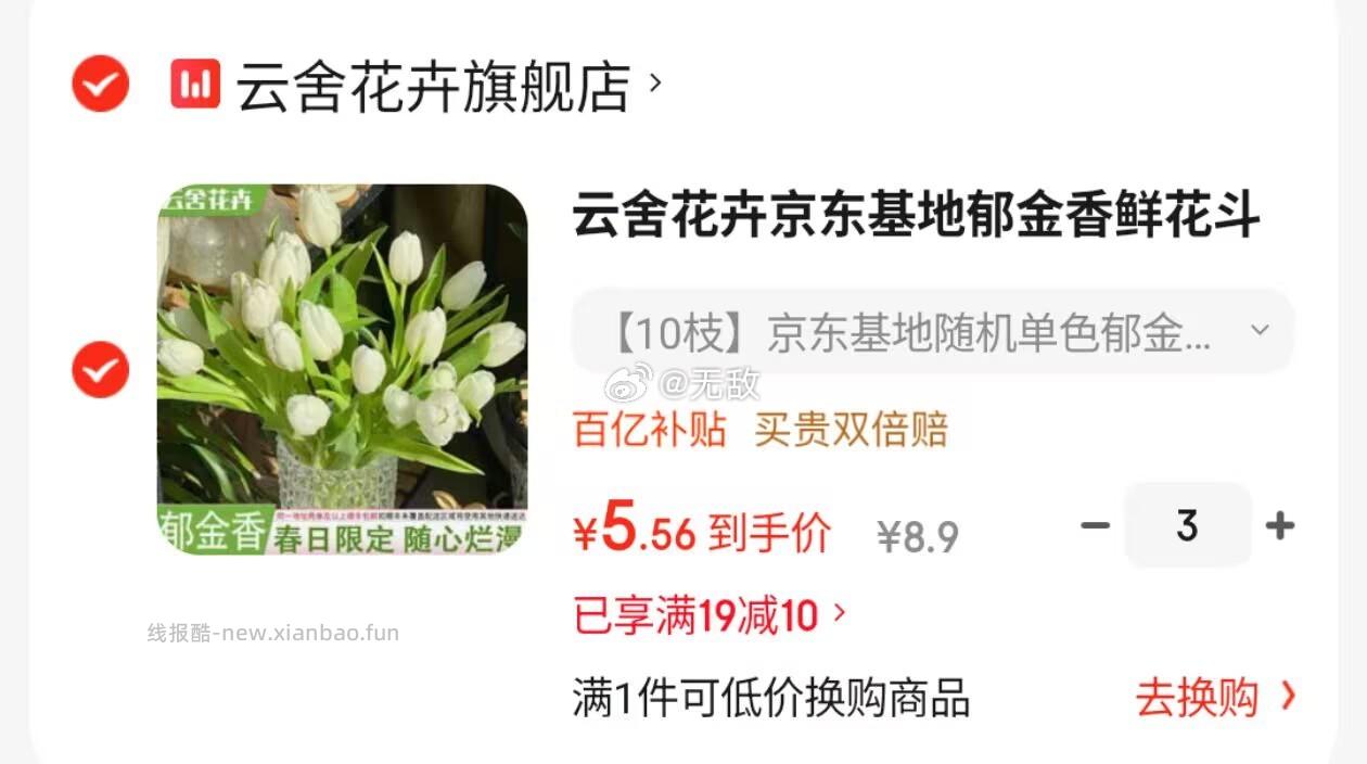 云舍花卉京东郁金香鲜花斗南基地直发10枝 16.7元 - 线报酷