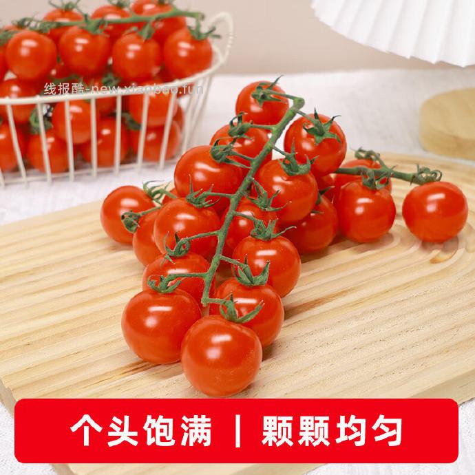 京鲜生＆富美鹤城串收樱桃番茄净重430g*2盒 17.9元 - 线报酷