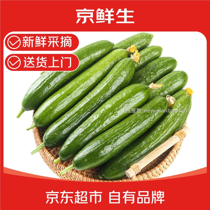 京鲜生山东荷兰水果黄瓜净重3斤 8.90元 - 线报酷