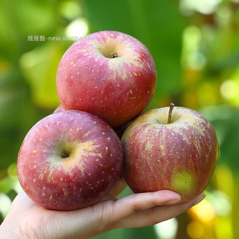 京鲜生高原红富士苹果8.5斤 26.90元 - 线报酷