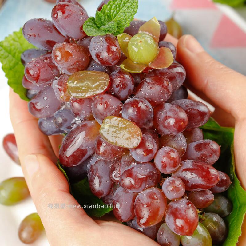 京鲜生云南茉莉香葡萄净重1斤 11.78元 - 线报酷