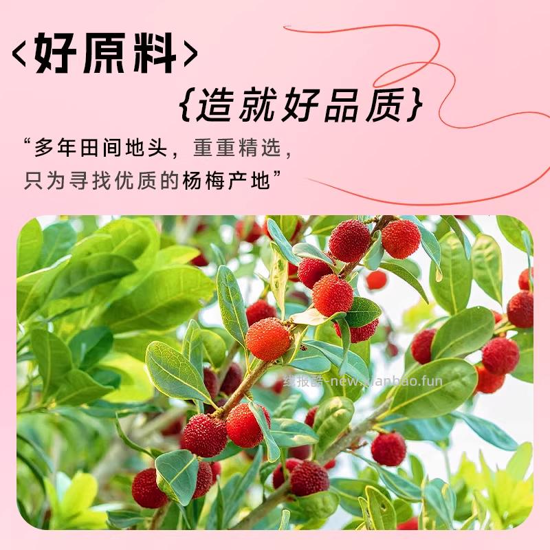 植物主义爽口杨梅汁210ml*12盒 16.91元 - 线报酷
