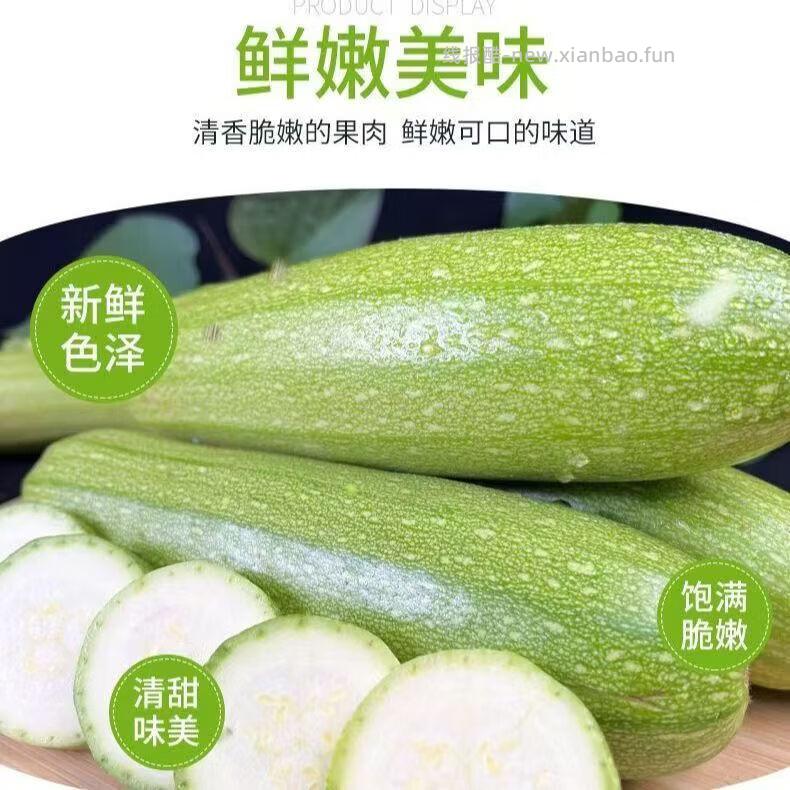 新鲜西葫芦带箱5斤 5.63元 - 线报酷