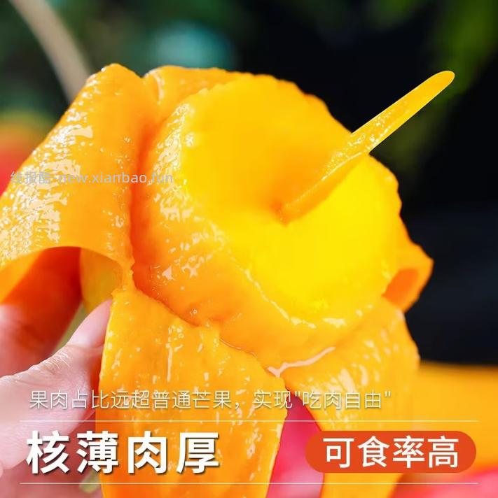 海南贵妃芒净重4.5斤 8.9元 - 线报酷