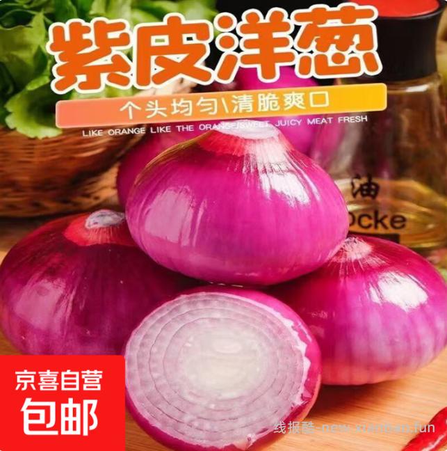 紫皮洋葱净重4.5斤 4.99元 - 线报酷