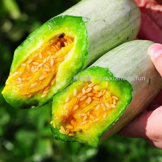 京鲜生山东头茬羊角蜜甜瓜净重3斤 16.90元 - 线报酷
