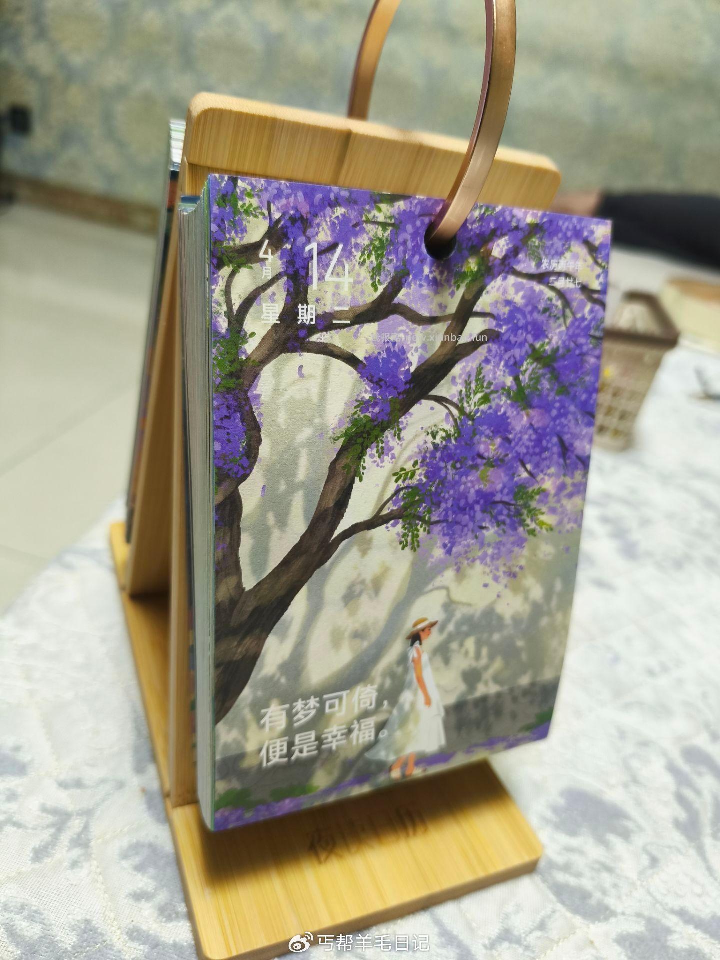 丐友反馈 zfb 日历 - 线报酷