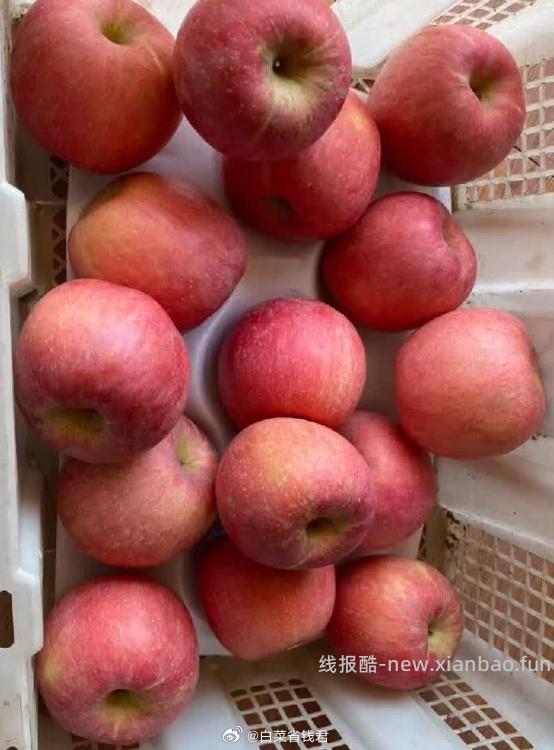 佳农烟台红富士苹果净重10斤 59.9元 - 线报酷