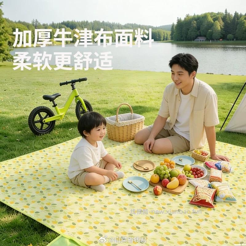 TEEIS户外露营野餐垫 24.9元 - 线报酷