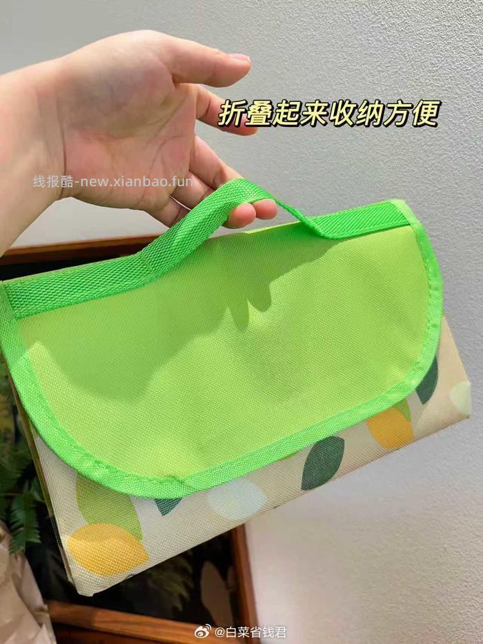 TEEIS户外露营野餐垫 24.9元 - 线报酷