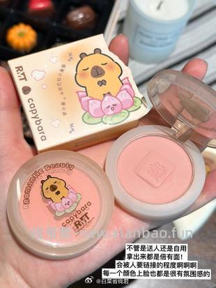 RMT卡皮巴拉联名单色腮红修容拍2件 19.6元 - 线报酷