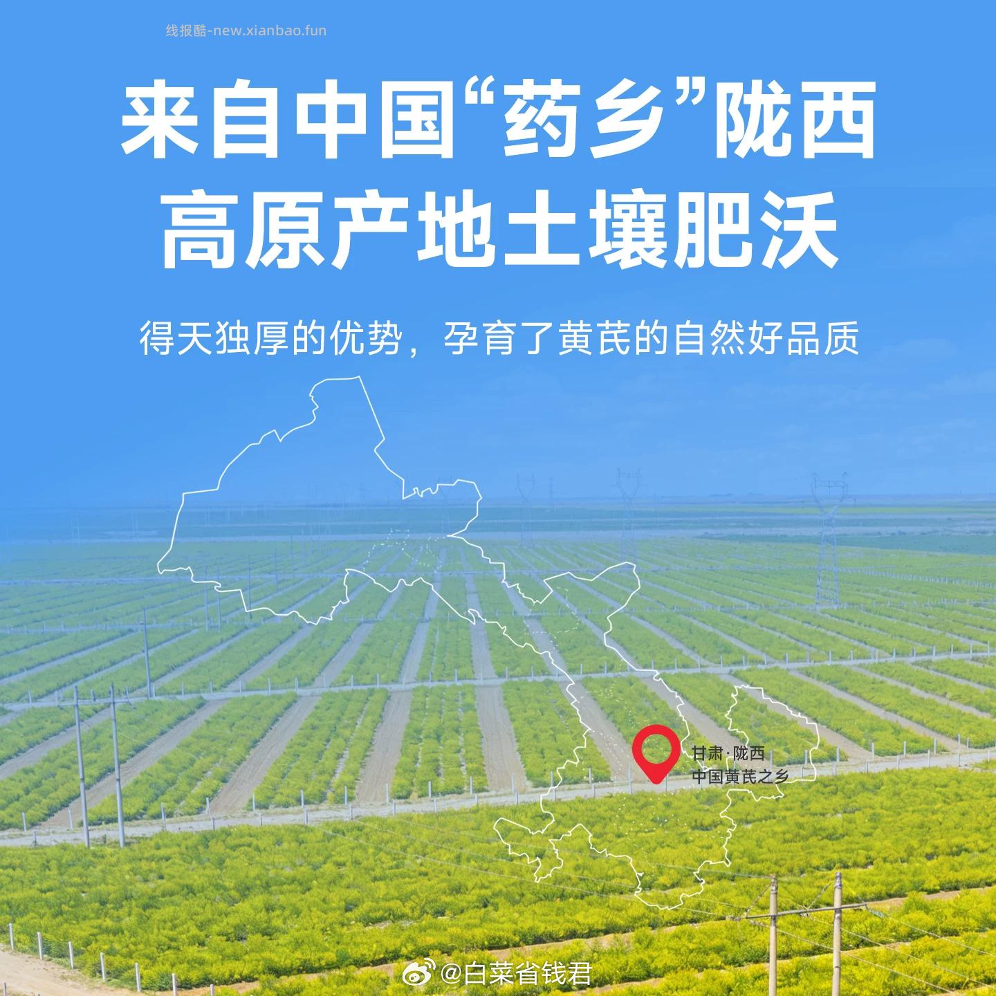 陇济堂原切黄芪片100g*2袋 15.9元 - 线报酷