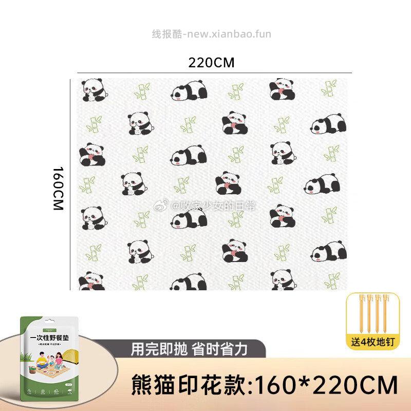 恬舒一次性野餐垫防潮户外露营加厚 一次性野餐垫160*220cm 印花款 8.88元 - 线报酷