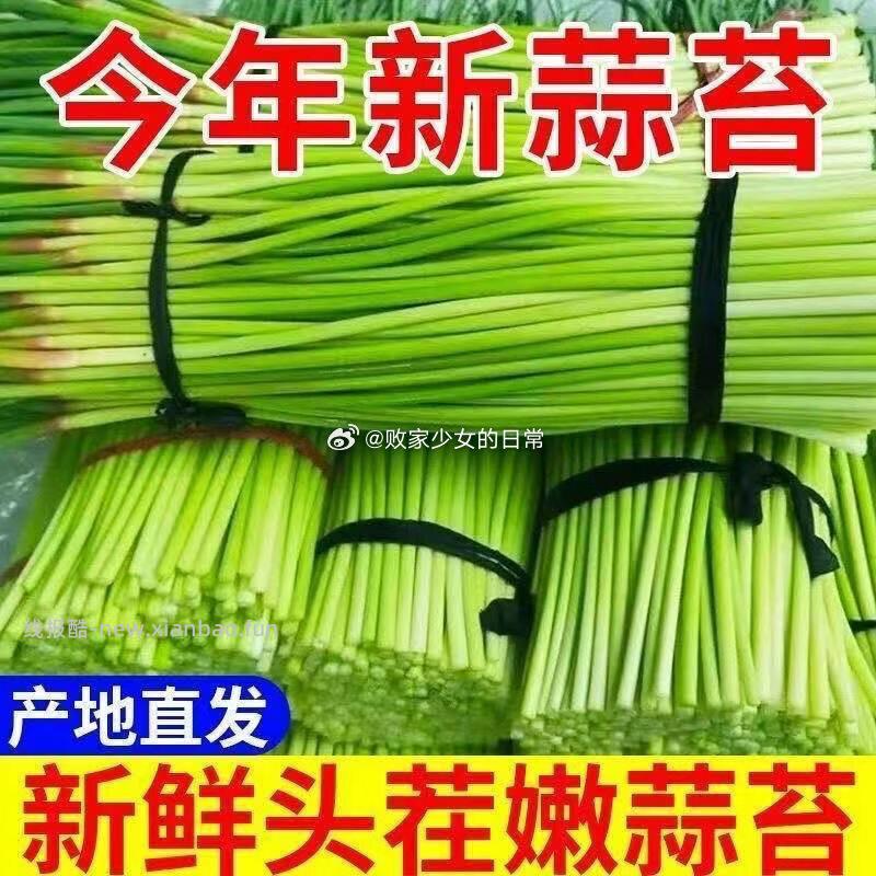 农根蔬蒜苔批发净重3斤 11.9元，京鲜生山东普罗旺斯番茄净重4.5斤 17.9元 - 线报酷