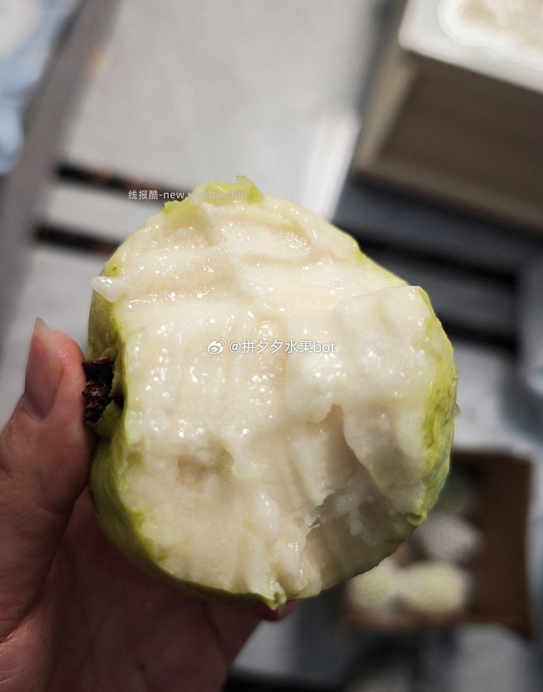 芭乐白心番石榴带箱3斤 12.99元 - 线报酷