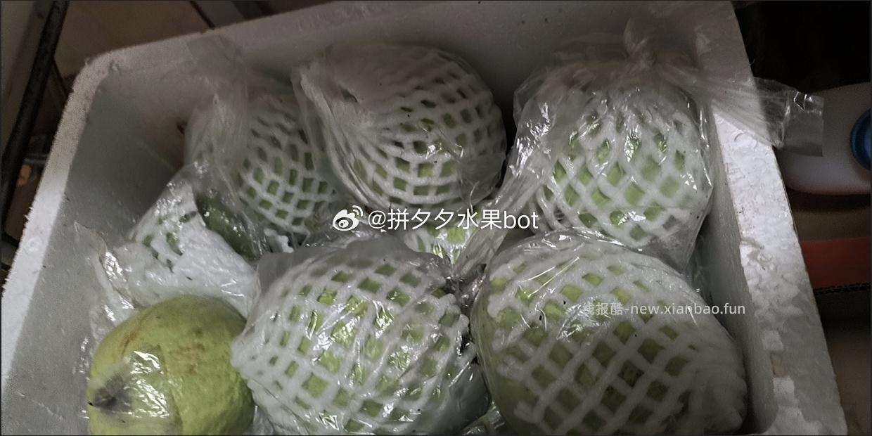 白心芭乐5斤 27.4元 - 线报酷