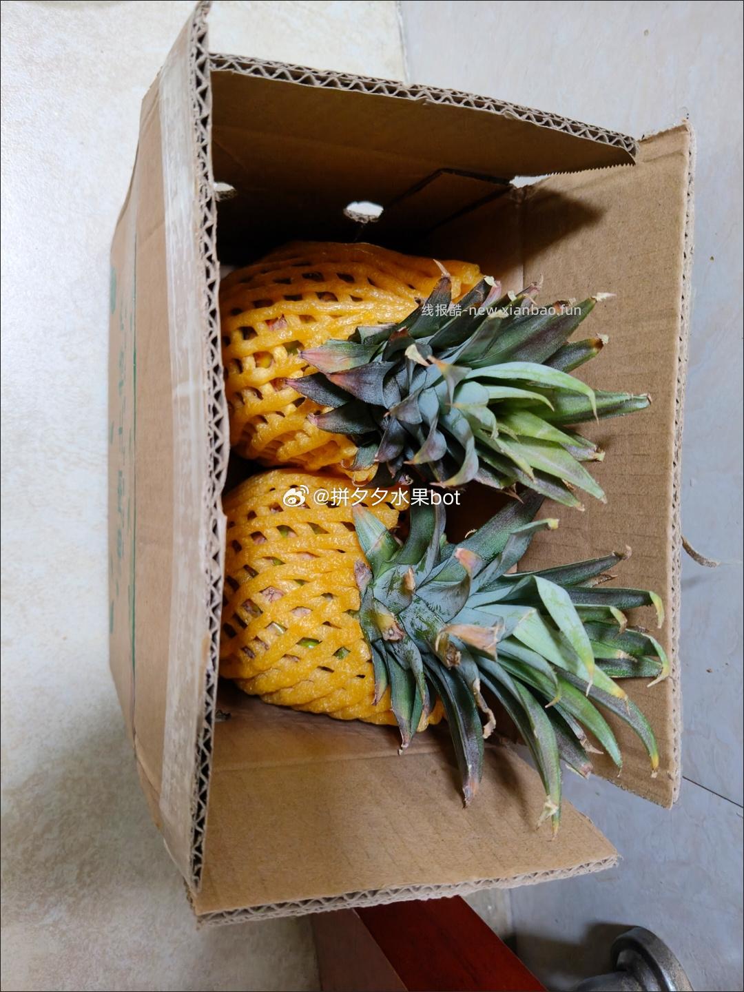 金钻凤梨2斤左右 9.9元，金钻凤梨一个一斤左右 9.9元 - 线报酷