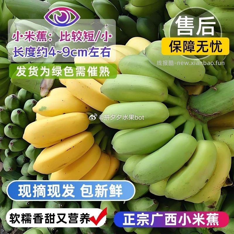 广西小米蕉 带箱5斤 10.6元 - 线报酷