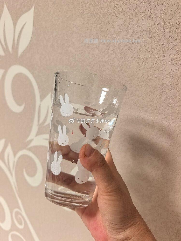米菲印花玻璃杯共2个 7.9元 - 线报酷