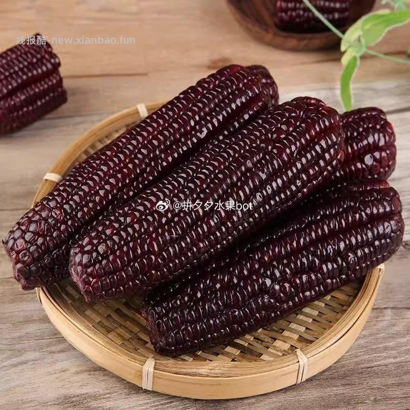 福优优黑糯玉米6根 13.9元 - 线报酷