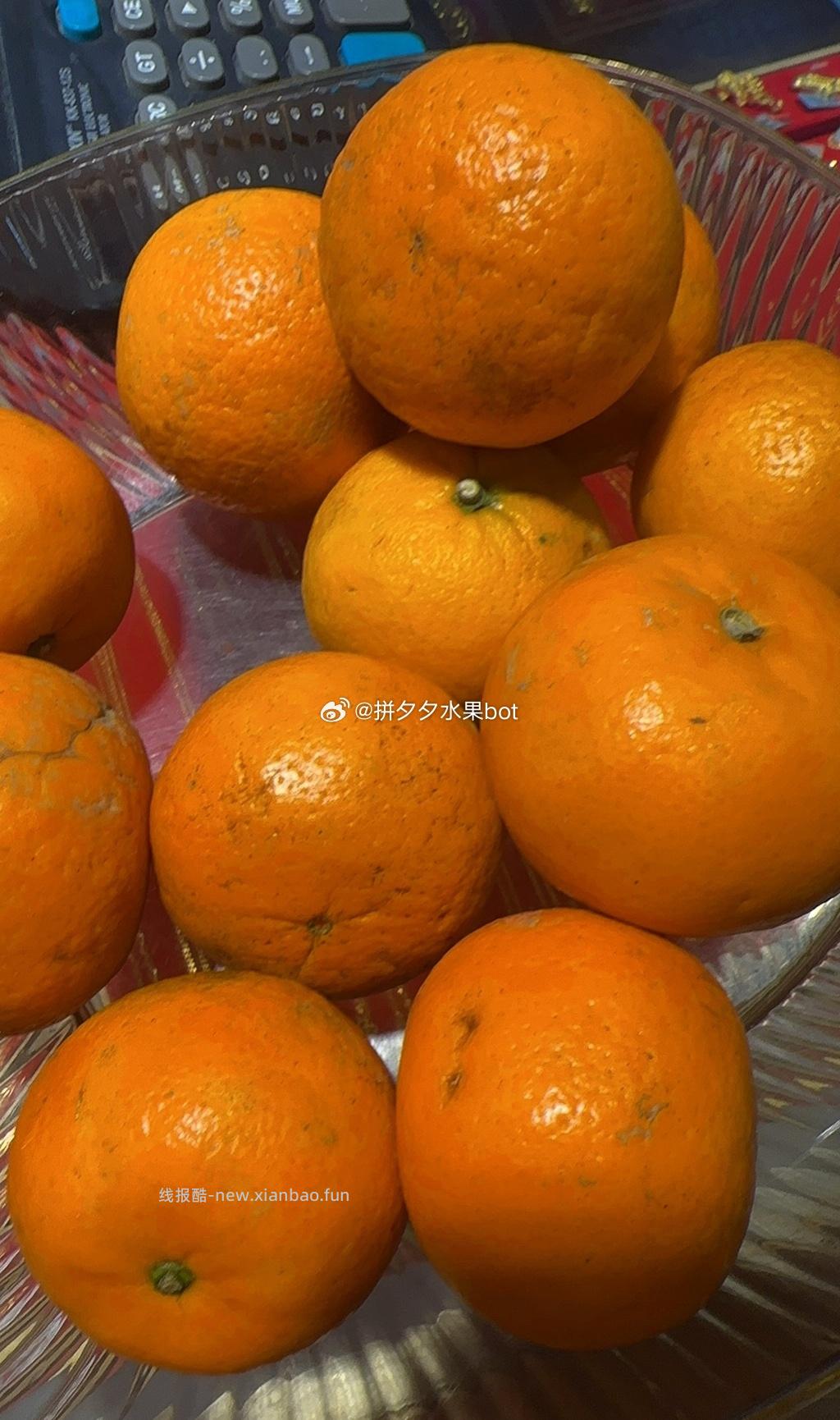 重庆沃柑净9斤 15.03元 - 线报酷