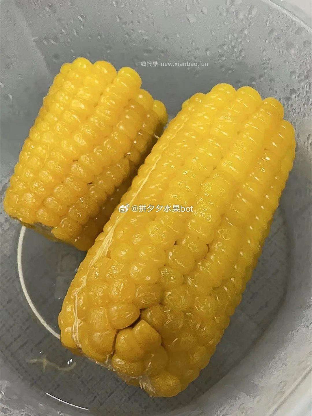 农科玉东北黄糯玉米1840g共8根 16.9元 - 线报酷