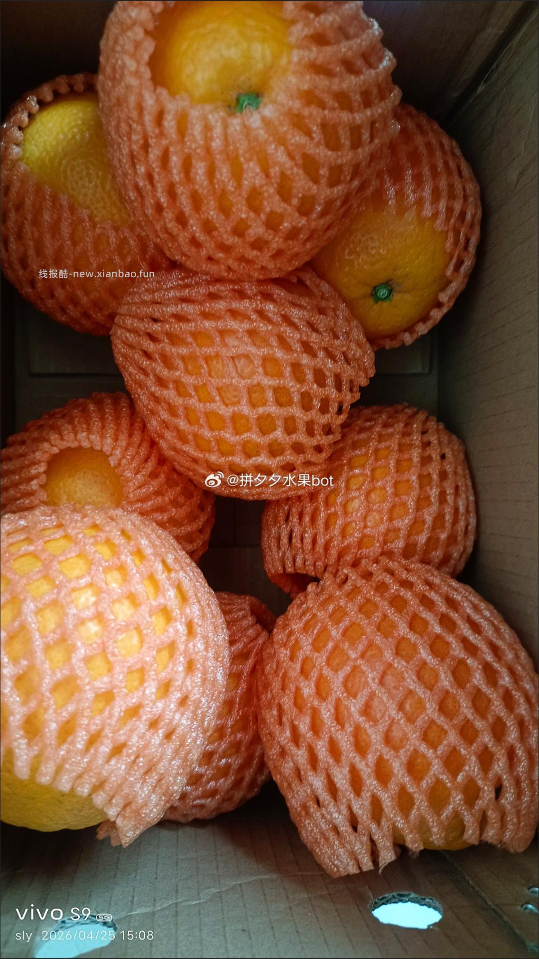 鲜橙伦晚脐橙5斤带箱 8.8元 - 线报酷