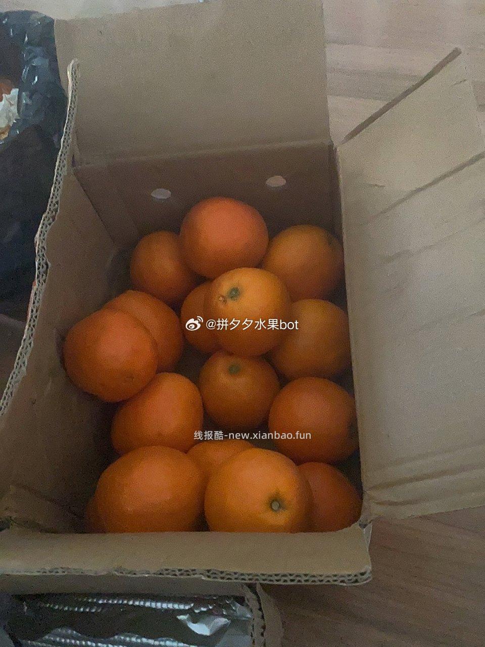 奉节脐橙10斤 13.9元 - 线报酷