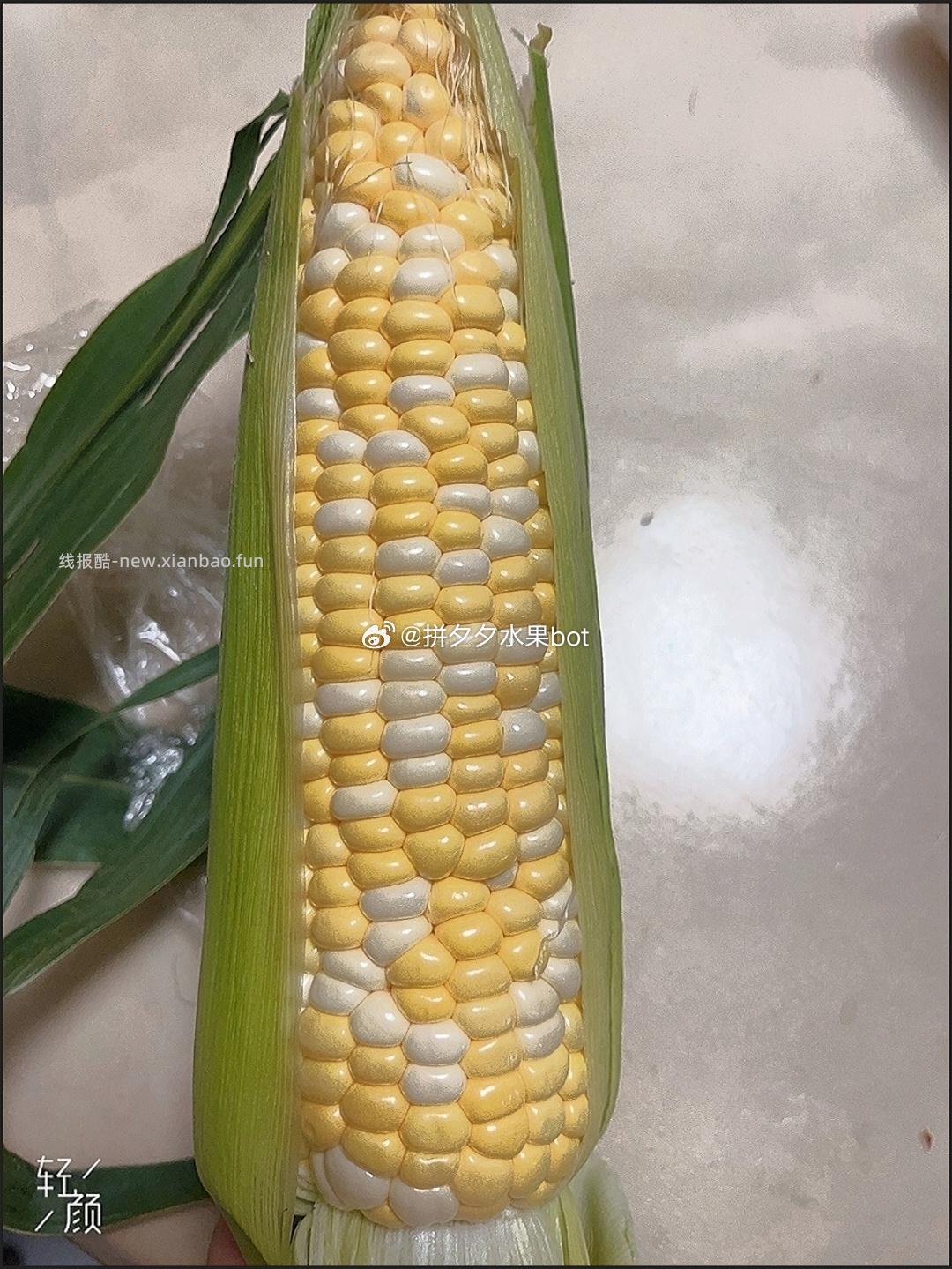 水果玉米9斤带箱 19元 - 线报酷